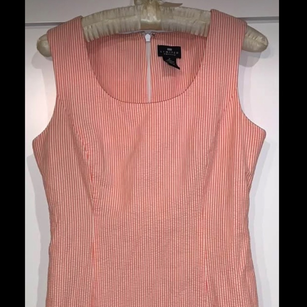 The Limited Dress Shift Fully Lined 2